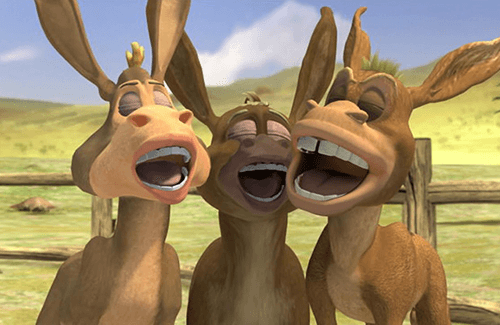 Donkey Ollie's Brothers Tease Him in Song